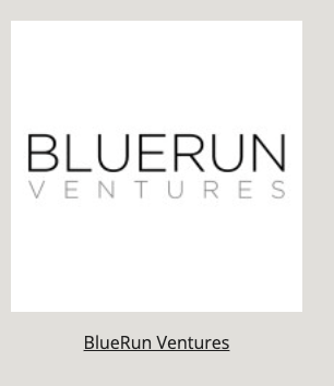 BlueRun Ventures logo